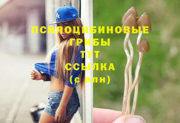ALPHA-PVP Армянск