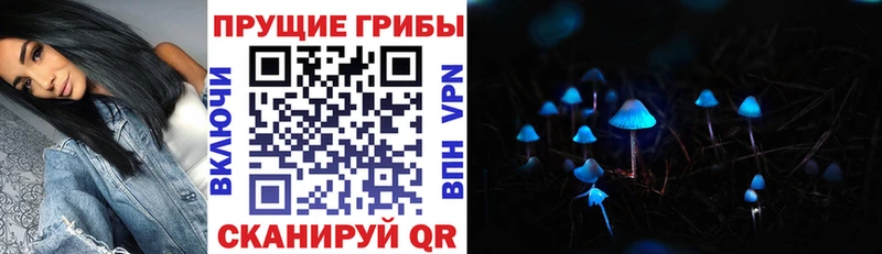 Галлюциногенные грибы ЛСД  Фатеж 